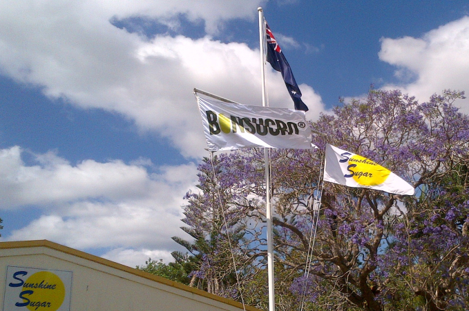 Flags at Harwood