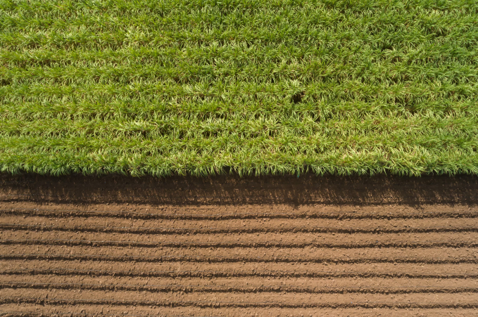 Crop Fallow Aerial