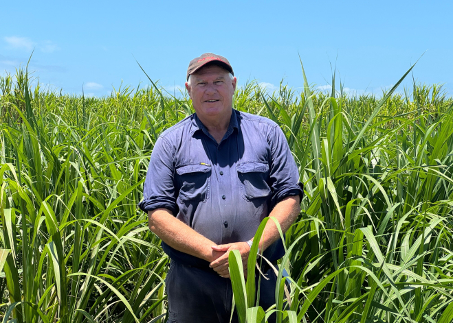 NSW Sugar Milling Co-Operative Chairman